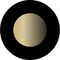 Black/Gold