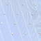 Blue Stripe
