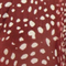 Garnet Crush