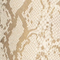 Gold Python