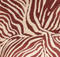 Burgundy Zebra