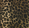Leopard Print
